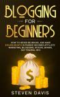 Blogging For Beginners : How To Never Be - Preview