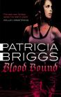 Blood Bound - Preview