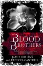 Blood Brothers - Preview