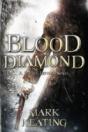 Blood Diamond: A Pirate Devlin Novel - Preview