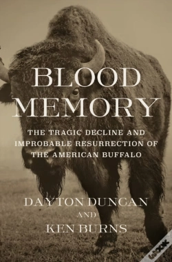 Capa do artigo Blood Memory
