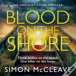 Capa do artigo Blood On The Shore