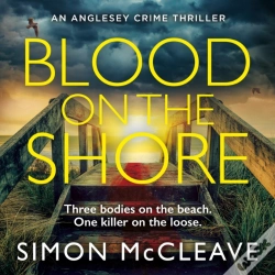 Capa do artigo Blood On The Shore
