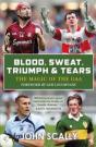Blood, Sweat, Triumph & Tears - Preview