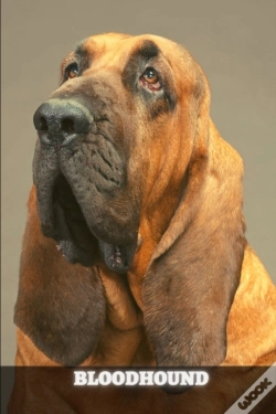Capa do artigo Bloodhound