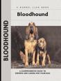 Bloodhound - Preview