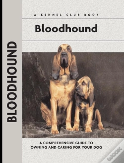 Capa do artigo Bloodhound