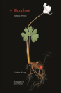 Bloodroot - Preview