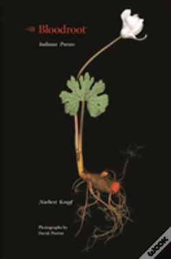 Capa do artigo Bloodroot
