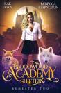 Bloodwood Academy - Preview