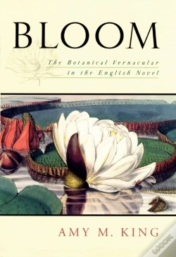 Capa do artigo Bloom