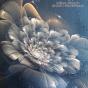 Bloom Ascension - Vinil - Preview