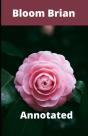 Bloom Brian Annotated - Preview