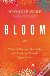 Capa do artigo Bloom