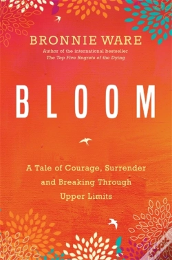 Capa do artigo Bloom