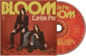 Capa do artigo Bloom - CD