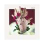 Bloom - CD - Preview