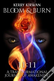 Capa do artigo Bloom & Burn