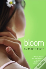 Capa do artigo Bloom