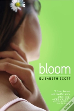Capa do artigo Bloom