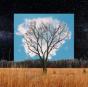 Bloom Innocent - CD - Preview