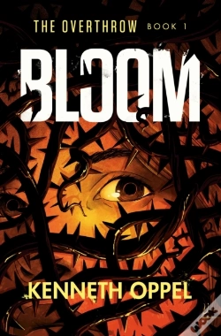 Capa do artigo Bloom