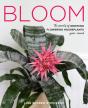 Bloom - Preview