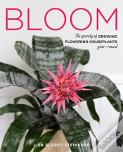 Capa do artigo Bloom