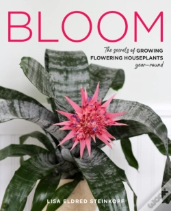 Capa do artigo Bloom