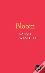 Capa do artigo Bloom