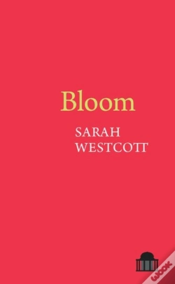Capa do artigo Bloom