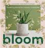 Bloom - Preview
