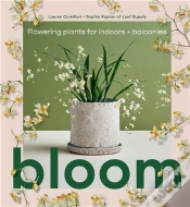 Capa do artigo Bloom