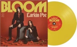Capa do artigo Bloom - Vinil