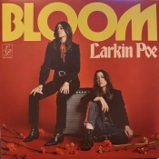 Capa do artigo Bloom - Vinil