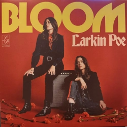 Capa do artigo Bloom - Vinil
