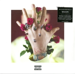 Capa do artigo Bloom - Vinil