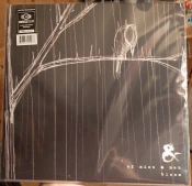 Capa do artigo Bloom - Vinil