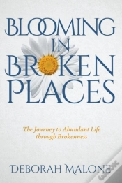 Capa do artigo Blooming In Broken Places