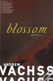 Capa do artigo Blossom