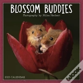 Blossom Buddies