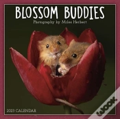Capa do artigo Blossom Buddies
