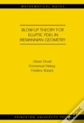 Blow-Up Theory For Elliptic Pdes In Riemannian Geometry