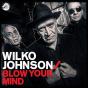 Blow Your Mind - Vinil - Preview