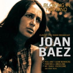 Capa do artigo Blowing in the Wind - CD