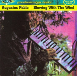 Capa do artigo Blowing With The Wind - CD