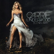 Capa do artigo Blown Away - CD