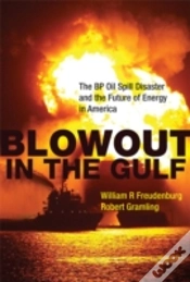 Capa do artigo Blowout In The Gulf