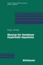 Blowup For Nonlinear Hyperbolic Equations - Preview