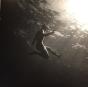 Blu Celeste - Vinil - Preview